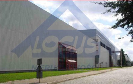 Nowoczesny biurowiec 720 m² z parkingiem - polecam lokal użytkowy Warszawa, Praga-Północ
