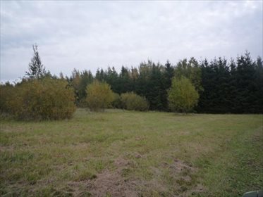 działka na sprzedaż 58000m2 działka Zatyki