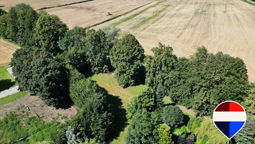 Działka siedliskowa 3100 m² w Cedrach Małych, blisko Gdańska działka Gdański, Żuławska