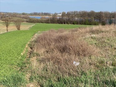 Działka nad jeziorem Niedzięgiel z widokiem na świat działka Wiekowo
