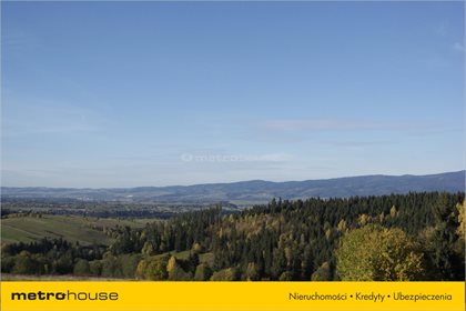Działka rolna na sprzedaż Trybsz, Łapsze Niżne 3 000m2 Foto 7