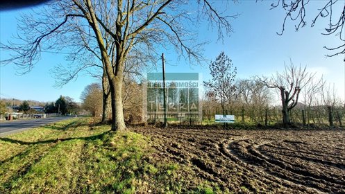 działka na sprzedaż 1036m2 działka Krosno Odrzańskie