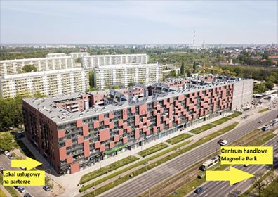 lokal użytkowy na wynajem 137m2 lokal użytkowy Wrocław, Fabryczna, Popowice, Białowieska