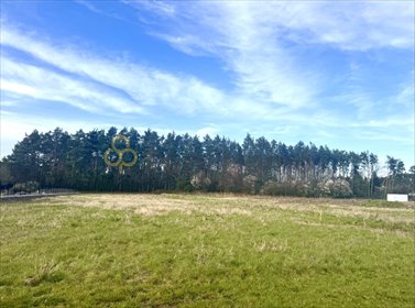 Działka budowlana w spokojnej okolicy z mediami i lasem działka Stara Góra, Włodków Górny