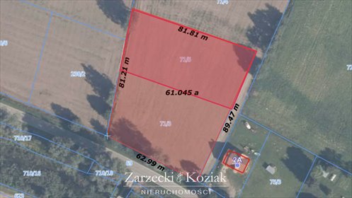 działka na sprzedaż 6099m2 działka Sztutowo