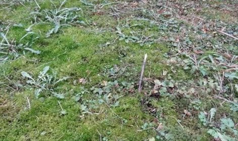 działka na sprzedaż 2800m2 działka Ustrobna