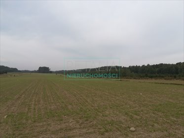 działka na sprzedaż 34300m2 działka Radziejowice