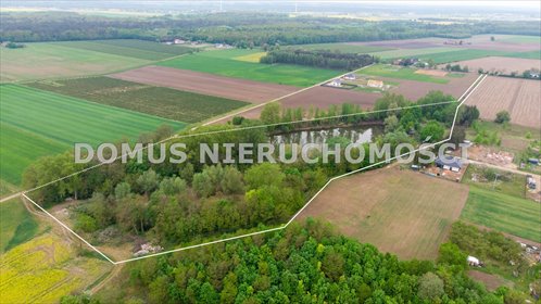 Polecam dużą działkę 43 917 m² z stawem i potencjałem inwestycyjnym działka Kutno