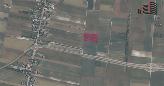 działka na sprzedaż 9582m2 działka Opole Lubelskie