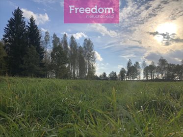 działka na sprzedaż 9998m2 działka Rumy