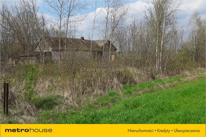 Działka rolna na sprzedaż Żeliszew Duży, Kotuń 4 000m2 Foto 2