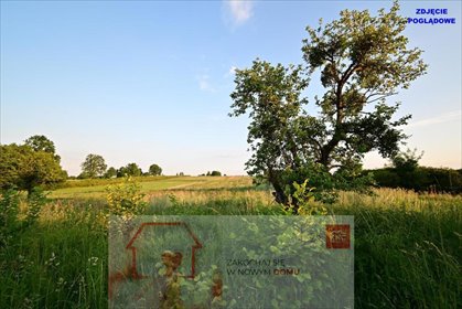 działka na sprzedaż 1400m2 działka Nałęczów