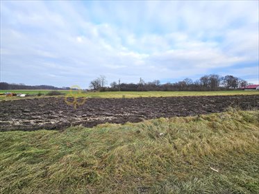 działka na sprzedaż 959m2 działka Małachowo