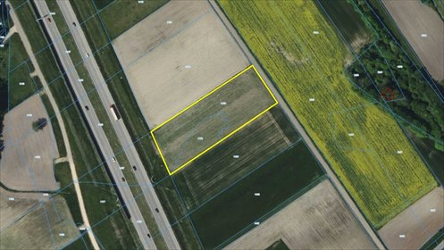 Działka przemysłowo-handlowa na sprzedaż Woźniki, Cegielniana 6 066m2 Foto 7