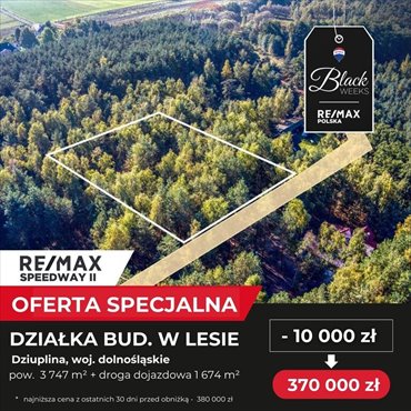 działka na sprzedaż 3747m2 działka Dziuplina, Brzozowa