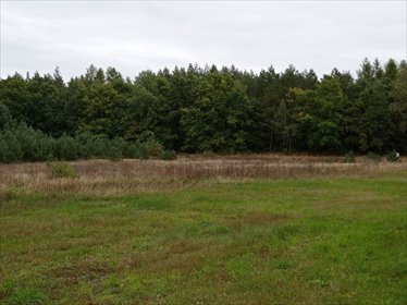 działka na sprzedaż 6320m2 działka Koźle