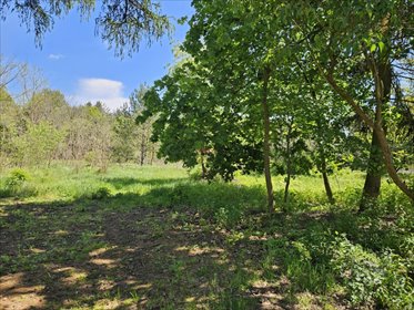 działka na sprzedaż 25232m2 działka Wycinki Osowskie, Biedronki