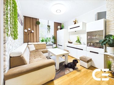 Na sprzedaż przestronne 3-pokojowe mieszkanie 41 m² z dużą piwnicą mieszkanie Oleśnica, Adama Mickiewicza