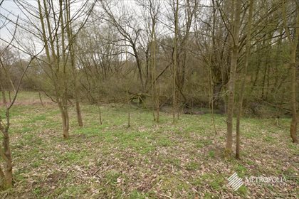 Działka rekreacyjna na sprzedaż Zręczyce 10 287m2 Foto 2