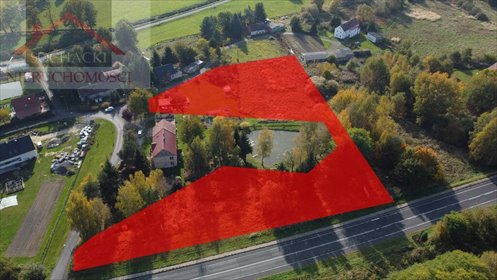 działka na sprzedaż 7000m2 działka Olszyna Dolna