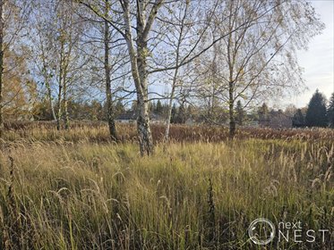 Do sprzedania działka 4461 m² pod zabudowę ekstensywną działka Siedliska, Francuska