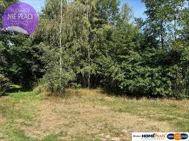 działka na sprzedaż 3566m2 działka Ludwinów