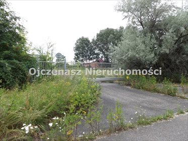 działka na wynajem 2000m2 działka Bydgoszcz, Glinki