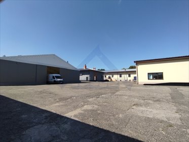 magazyn na sprzedaż 3000m2 magazyn Teresin-Gaj