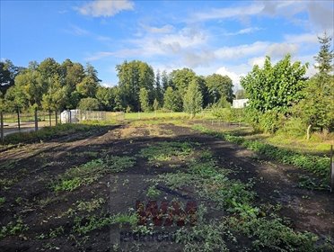 Polecam działkę 2000 m² w Jasiencu z warunkami zabudowy działka Jasieniec