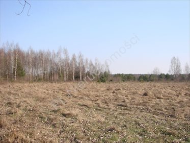 Na sprzedaż działka usługowo-mieszkaniowa 30 848 m² w Żabiej Woli działka Piotrkowice