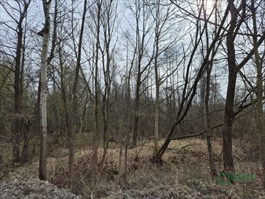 Działka rolna 2709 m² w Kanowie, bez dostępu do drogi działka Kaniów, Kaniów, Stefana Kóski