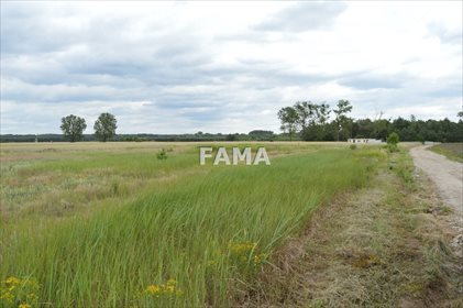 działka na sprzedaż 1899m2 działka Winduga