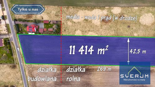 Działka budowlana na sprzedaż Wrzosy 11 414m2 Foto 2