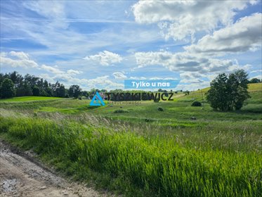 Duża działka rolna 6,1 ha w Głodowie – potencjał i atrakcyjna cena działka Głodowo