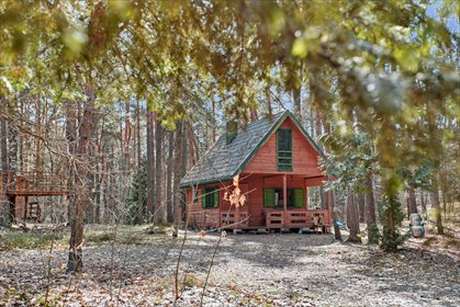 Kompleks domków na dużej leśnej działce w Wildze dom Osiedle Wilga, Plac Przyjaciół