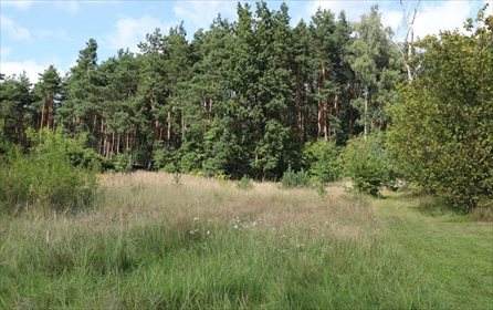 Działka budowlana na sprzedaż Sosnowiec, Maczki, Kolonia Cieśle 2 143m2 Foto 5