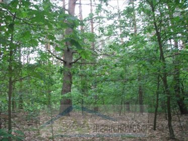 działka na sprzedaż 2100m2 działka Warszawa, Wawer