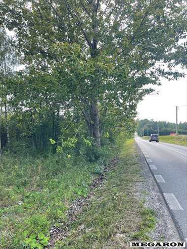 Atrakcyjna działka rolna w Wancerzowie - inwestycja. działka Wancerzów