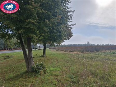 działka na sprzedaż 73847m2 działka Stary Łajszczew