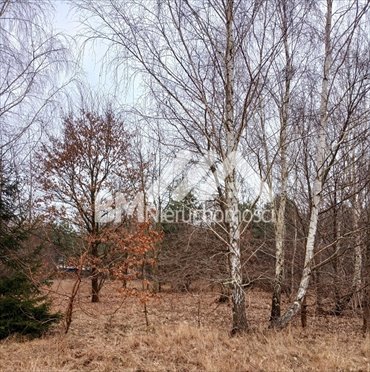 działka na sprzedaż 1000m2 działka Osowiec