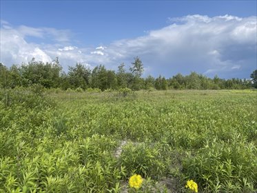 działka na sprzedaż 22000m2 działka Ciemne
