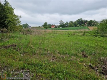 działka na sprzedaż 12195m2 działka Górna Wieś