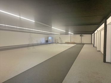 Magazyn na sprzedaż Paszyn 3 532m2 Foto 3