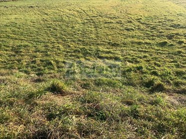 Zapraszam do zakupu działki 1604 m² z warunkami zabudowy działka Duchnów