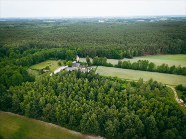 Działki budowlane w Kwilnie – spokój i natura działka Kwilno