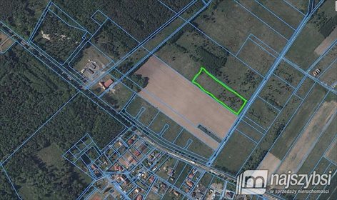 Działka rolna na sprzedaż Grabno, Grabno 12 000m2 Foto 1
