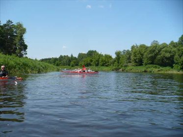 Działka rekreacyjna na sprzedaż Żołędowo 2 000m2 Foto 5