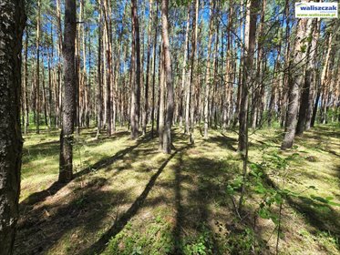 działka na sprzedaż 822m2 działka Mierzyn
