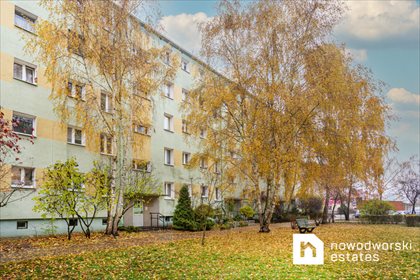 mieszkanie na sprzedaż 56m2 mieszkanie Piła, al. Wojska Polskiego