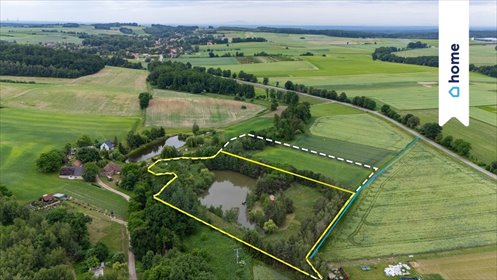 Działka 12 324 m² z własnym stawem i starodrzewiem działka Świerzów
